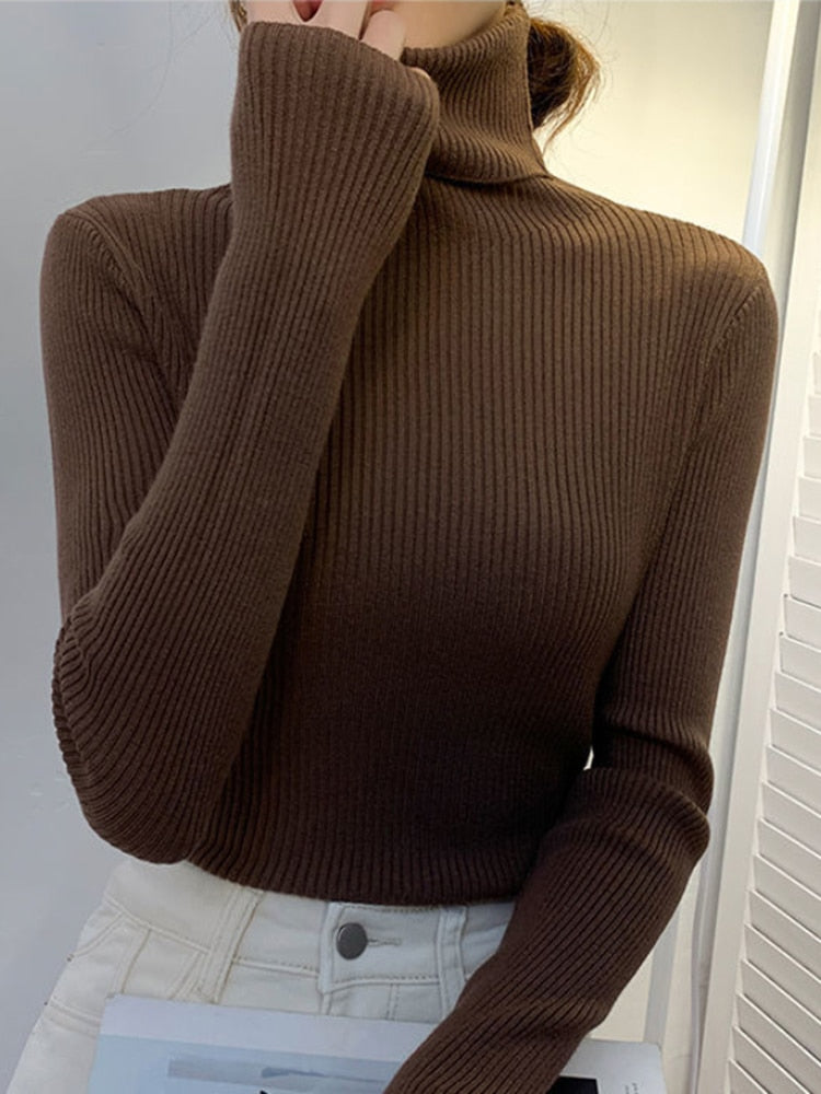 Long Sleeve Pullover Turtleneck Sweater Women