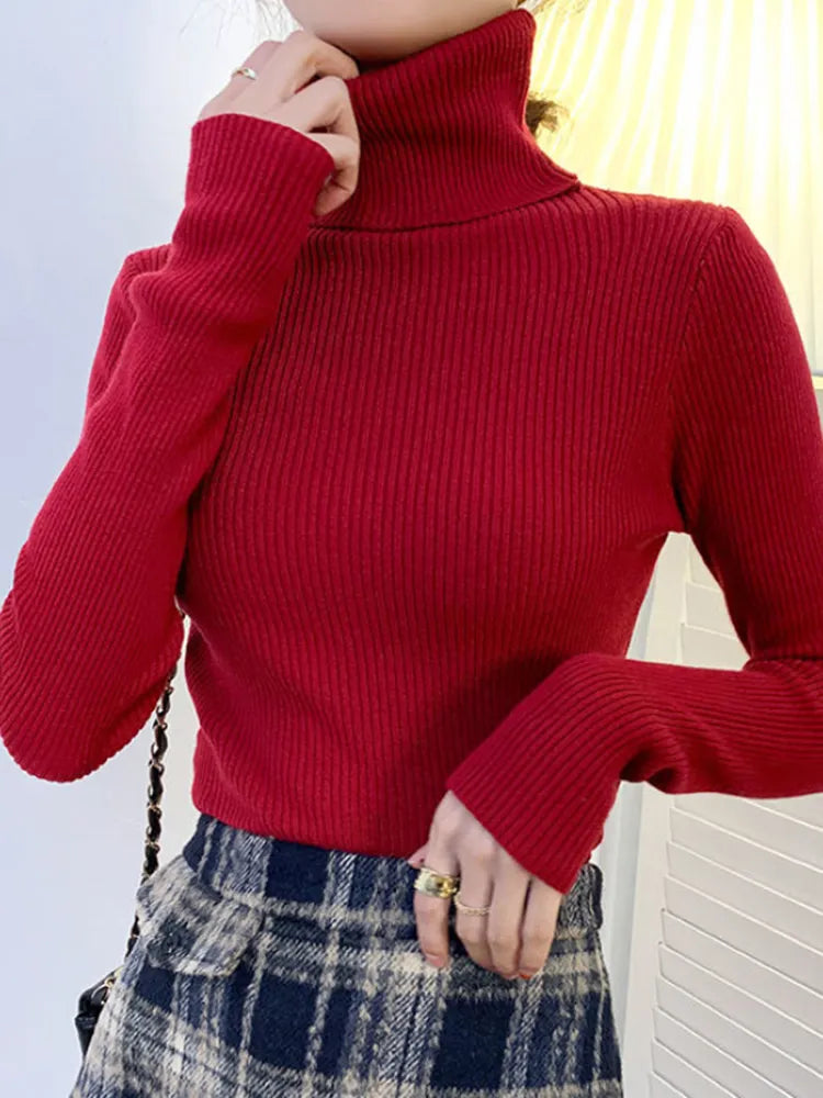 Long Sleeve Pullover Turtleneck Sweater Women