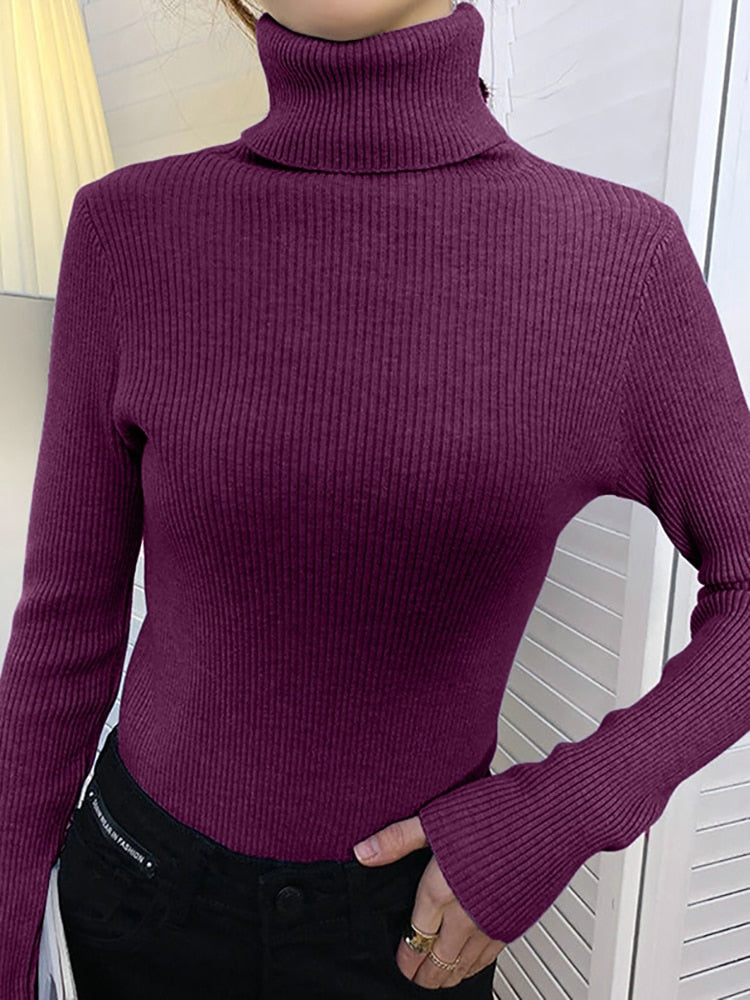 Casual Turtleneck Sweater Women